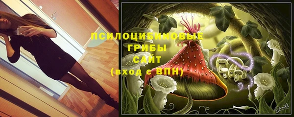 трава Арсеньев